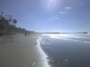 Shiny Law St Beach walk