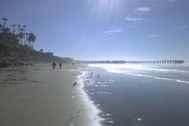 Shiny Law St Beach walk