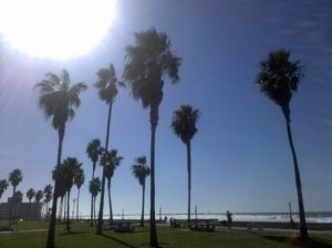 Mission Beach on a hot day