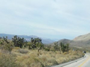 Las Vegas Desert Drive