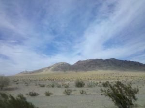 Tumbleweeds to Vegas
