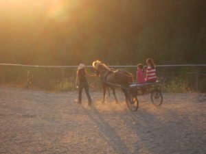 Laughing Pony Rescue fundraiser "ride"