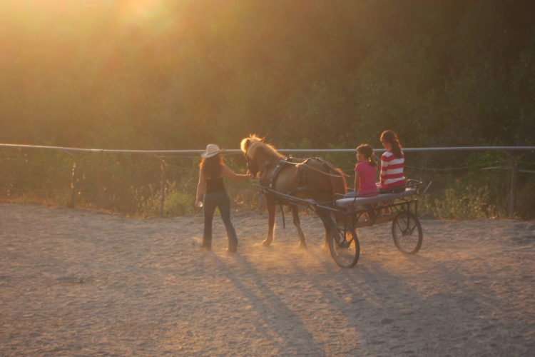 Laughing Pony Rescue fundraiser "ride"