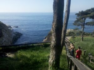 La Jolla Village Coast Trail by the Cove