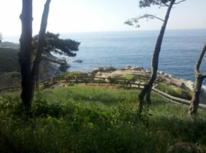 La Jolla Village Coast trail edge