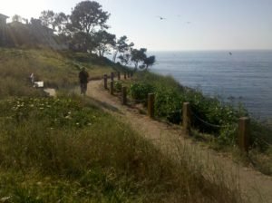 La Jolla coast walk bench beckons