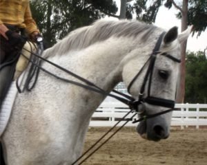 Closeup Military Power